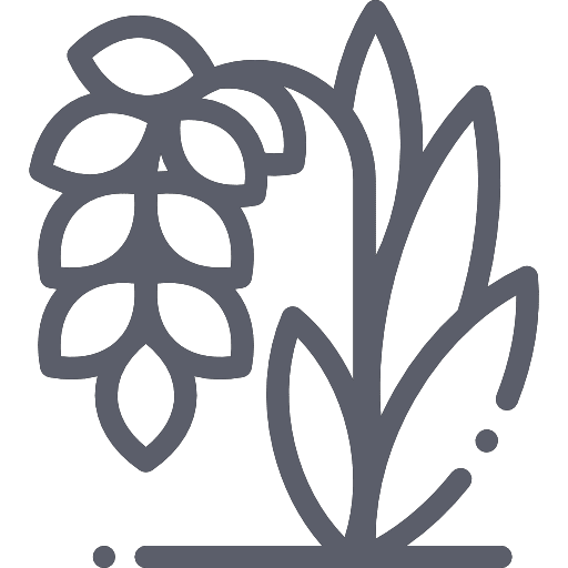 sampangi naturals rice