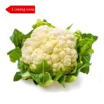 sampangi naturals cauliflor