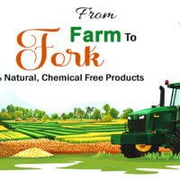 Farm to Fork safe natural chemical free groceries
