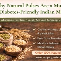 Why Organic Pulses Are a Must for Diabetes-Friendly Indian Meals